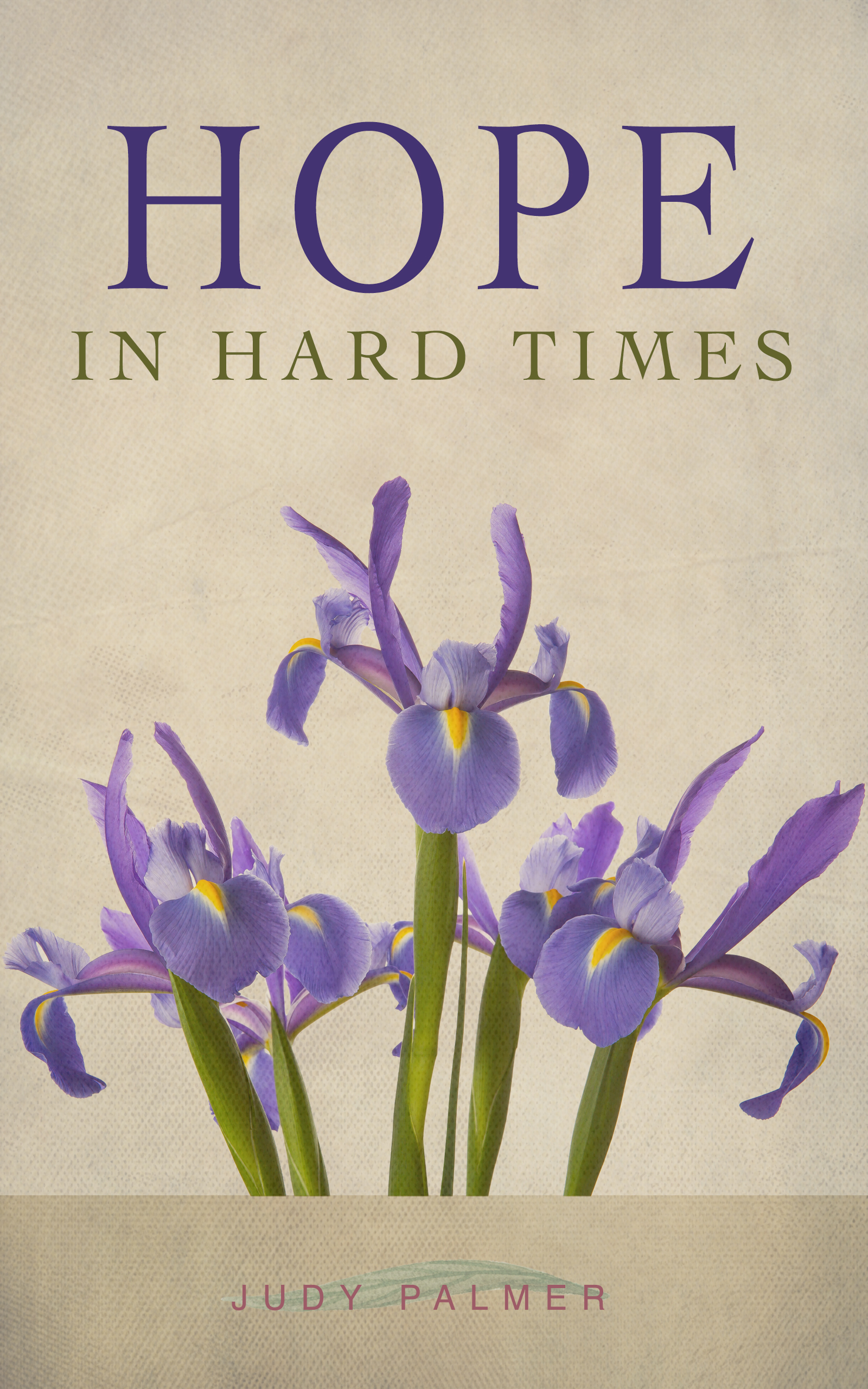 Hope in Hard Times book cover